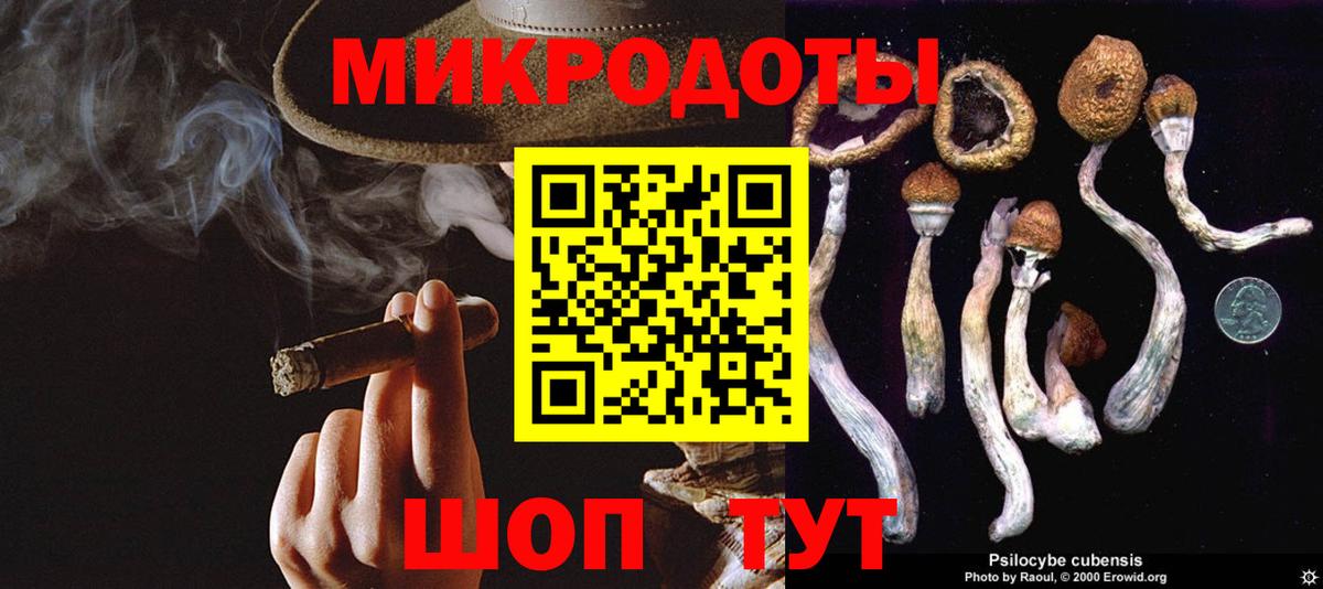 Псилоцибиновые грибы Magic Shrooms Реж
